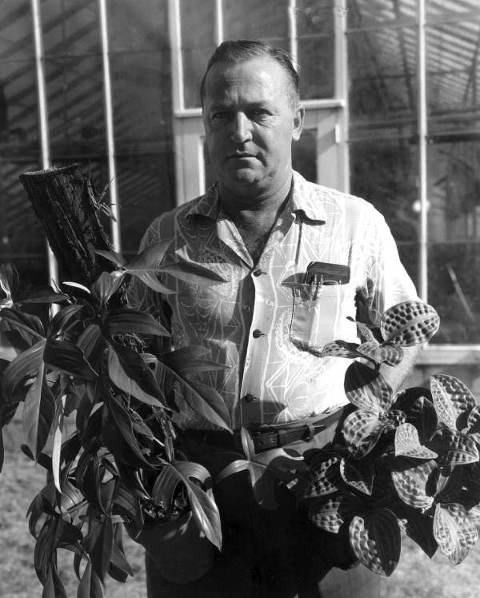 Owner Bob McColley with plants- Orlando, Florida .