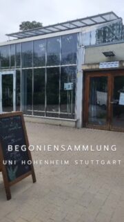 Ihr glaubt mir das nie, ich bin da heute zufällig reingestolpert. Ich wusste gar nicht, dass man inzwischen auch besichtigen kann.
Manchmal verkaufen sie sogar Stecklinge und es gibt noch mehr Pflanzen zu sehen. 

#begonien #begonias #begoniensammlung

Mehr:

https://gaerten.uni-hohenheim.de/bg_gewhaeuser